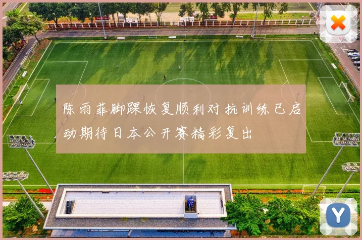 陈雨菲脚踝恢复顺利对抗训练已启动期待日本公开赛精彩复出